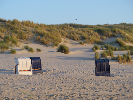 Gesetzliche Vorgaben und Naturschutz: Was muss im deutschen Angelkoffer beachtet werden?