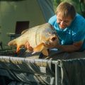 Saisonale Besonderheiten beim Angeln in Bayern