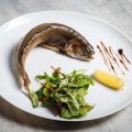 Lebensräume an Nord- und Ostseeküsten: Flora und Fauna für Angler verständlich erklärt