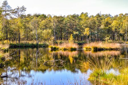 Die Geschichte und Entwicklung des Grundangelns mit Futterkorb in Deutschland