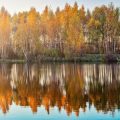 Vergleich: Catch & Release in Deutschland und im internationalen Kontext