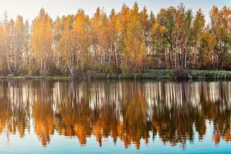 Vergleich: Catch & Release in Deutschland und im internationalen Kontext