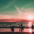 Naturerlebnis Küstenangeln: Begegnungen mit Seevögeln, Robben und Wattenmeer