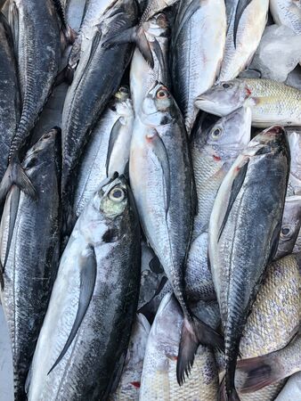 Tarnkleidung für Angler: Wann lohnt sich Camouflage am deutschen Gewässer?