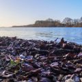 Jahreszeitliche Unterschiede beim Grundangeln mit Futterkorb – Frühling, Sommer, Herbst, Winter