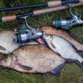 Köderführung im Klarwasser vs. trübes Wasser: Was funktioniert besser?