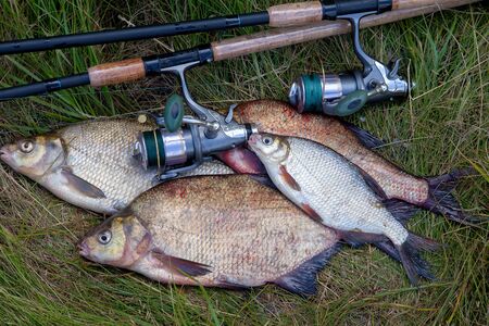 Köderführung im Klarwasser vs. trübes Wasser: Was funktioniert besser?