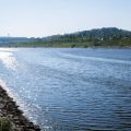 Gesetzliche Regelungen und Angelscheine in Bayern: Was Angler wissen müssen