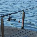 Barschjagd beim Spinnfischen: Lokale Hotspots, Köderwahl und Führungstechniken