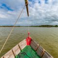 Jahreszeitliche Veränderungen im Verhalten des Zanders: Was Angler wissen sollten