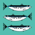 Die Entwicklung des Spinnfischens in Deutschland: Historische Wurzeln und moderne Trends
