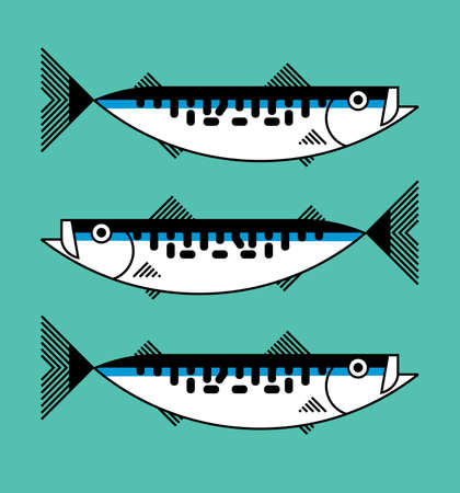 Die Entwicklung des Spinnfischens in Deutschland: Historische Wurzeln und moderne Trends