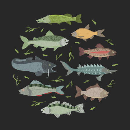 Beliebte und bewährte Knoten für große Fische