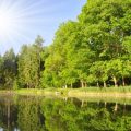 Schritt-für-Schritt-Anleitung: Angelkoffer für verschiedene Zielfische optimal ausstatten