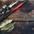 Die Bedeutung von Nachhaltigkeit beim Angeln: Eine Einführung für Hobby- und Sportangler