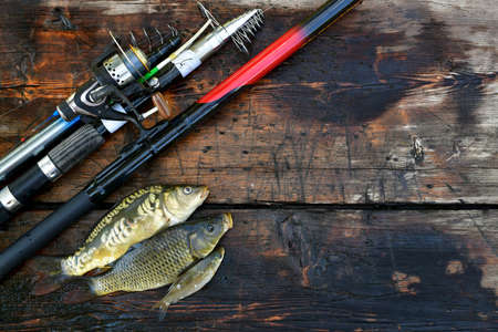 Die Bedeutung von Nachhaltigkeit beim Angeln: Eine Einführung für Hobby- und Sportangler