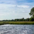 Schutzmaßnahmen für bedrohte Süßwasserfischarten in deutschen Flüssen und Seen