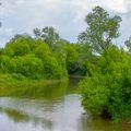 Traditionelle und moderne Köder für das Bach- und Teichforellenangeln: Ein umfassender Vergleich