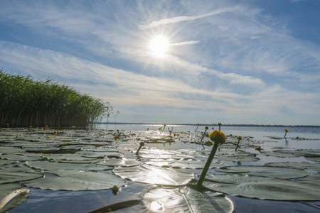 Naturparadies und Anglertraum: Die Mecklenburgische Seenplatte im Detail