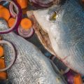 Wissenschaftliche Erkenntnisse zum Stress und Überleben von Fischen beim Catch & Release