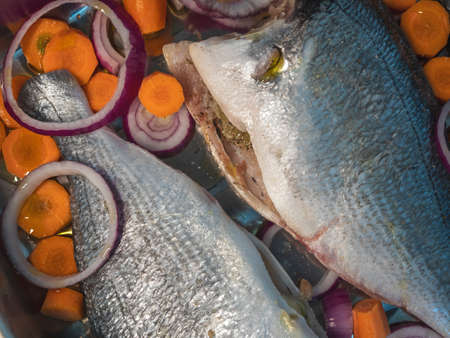 Wissenschaftliche Erkenntnisse zum Stress und Überleben von Fischen beim Catch & Release