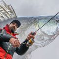 Praktische Gewässertipps: Die besten Flüsse und Seen zum Grundangeln mit Futterkorb in Deutschland