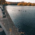 Natürliche vs. künstliche Duftstoffe: Was bevorzugen Fische in deutschen Gewässern?