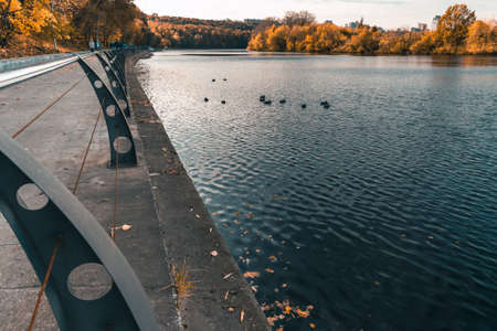 Natürliche vs. künstliche Duftstoffe: Was bevorzugen Fische in deutschen Gewässern?
