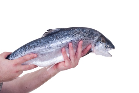 Die 10 wichtigsten Angelknoten für den erfolgreichen Fischfang in Deutschland