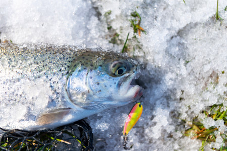 Fliegenfischen in Deutschland: Fliegenruten & Fliegenrollen im großen Vergleich
