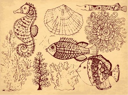 Gesetzliche Regelungen und Naturschutz beim Fliegenfischen in Deutschland: Was Angler wissen müssen
