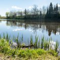 Sommerliche Outdoor-Bekleidung für Angler: Hitzeschutz und Insektenschutz