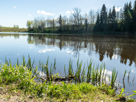 Sommerliche Outdoor-Bekleidung für Angler: Hitzeschutz und Insektenschutz