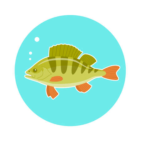 Was macht eine gute Karpfenrolle aus?