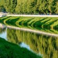 Erfolgsrezepte prominenter deutscher Feederangler – exklusive Interviews