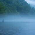 Nahrungsspektrum und Jagdverhalten: Wie der Hecht Beute macht