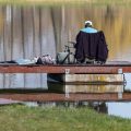 Faszination Angeln: Exklusive Interviews mit Deutschlands erfolgreichsten Anglern