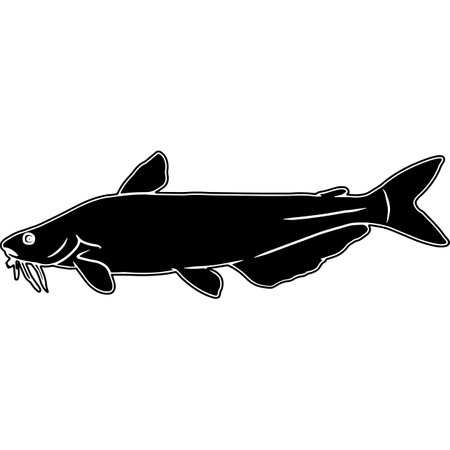 Fischarten in Seen und Ostsee