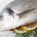 Lebende Köderfische: Auswahl, Hälterung und Einsatz beim Raubfischangeln