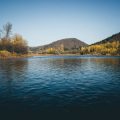 Strafen bei Verstößen gegen Schonzeiten und Mindestmaße: Ein Leitfaden für Angler