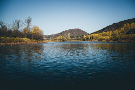 Strafen bei Verstößen gegen Schonzeiten und Mindestmaße: Ein Leitfaden für Angler