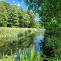 Geschichte und Entwicklung von Catch & Release in Deutschland: Von der Tradition zur modernen Praxis