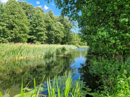 Geschichte und Entwicklung von Catch & Release in Deutschland: Von der Tradition zur modernen Praxis