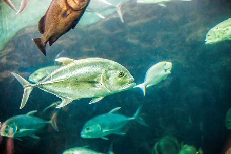 Ausstattung und Serviceleistungen an modernen Put & Take Anlagen: Was erwartet Angler heute?