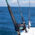 Echolot vs. Fischfinder: Unterschiede, Vorteile und Einsatzzwecke beim Angeln