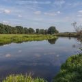 Vom Anfänger zum Profi: Ein Erfahrungsbericht über die Entwicklung als Angler in Bayern
