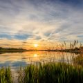Saisonale Besonderheiten beim Küstenangeln: Welche Fischarten wann an Nord- und Ostsee zu fangen sind