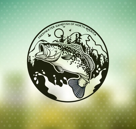 Fischereischein: Notwendigkeit und Ausnahmen