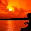 Angeltechniken für Anfänger und Fortgeschrittene beim Posenangeln auf Friedfisch