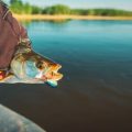 Die wichtigsten Angelgesetze und -verordnungen in Deutschland
